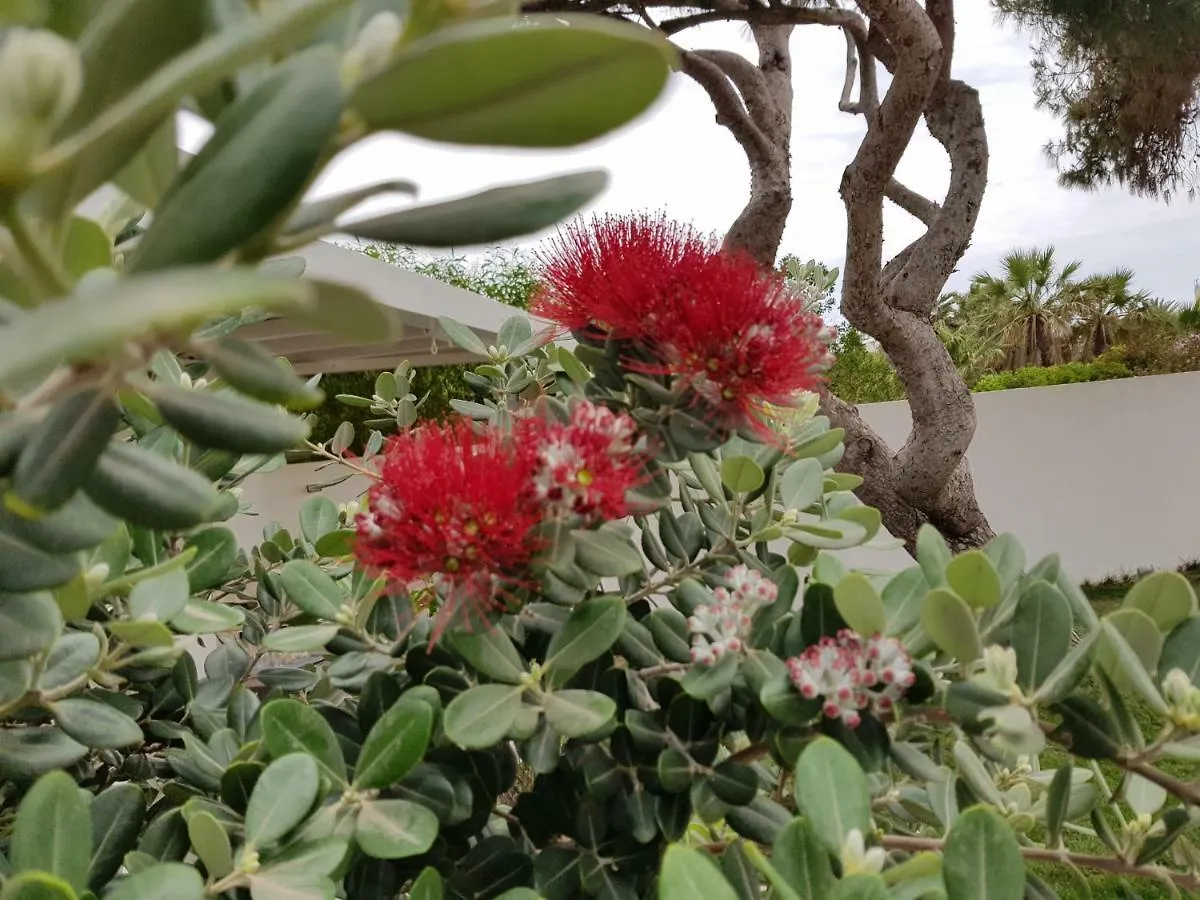 Casa Mirella Apartment Favignana